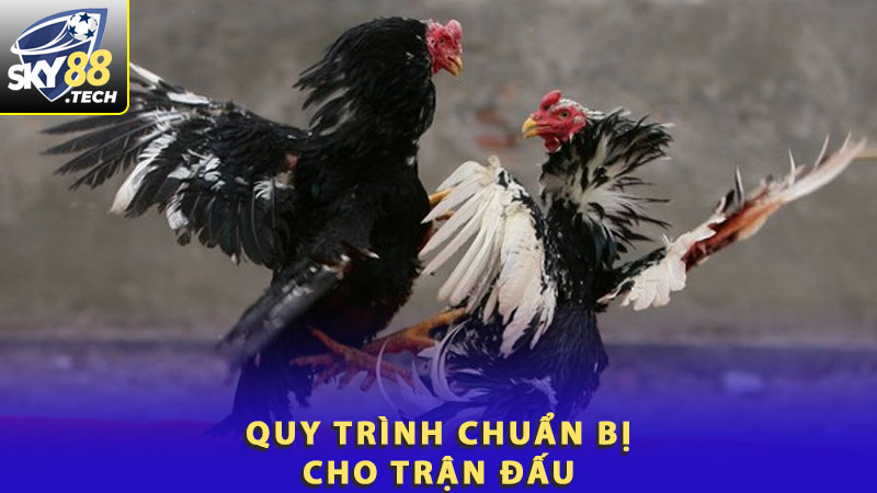 Quá trình chuẩn bị cho trận đấu